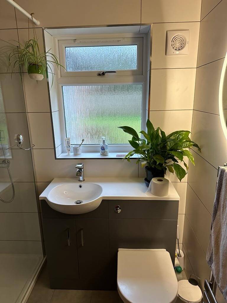Toilet, sink + window